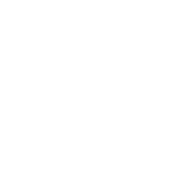 NETWORK logo
